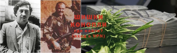 прущий лед Алзамай